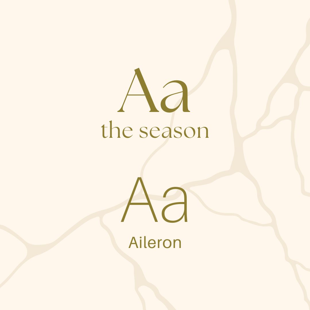 Scelta tipografica del brand Ribò con font serif The Season per i titoli e Aileron per i testi, presentati sul pattern visivo del marchio.